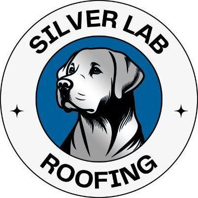 silverlabroofing