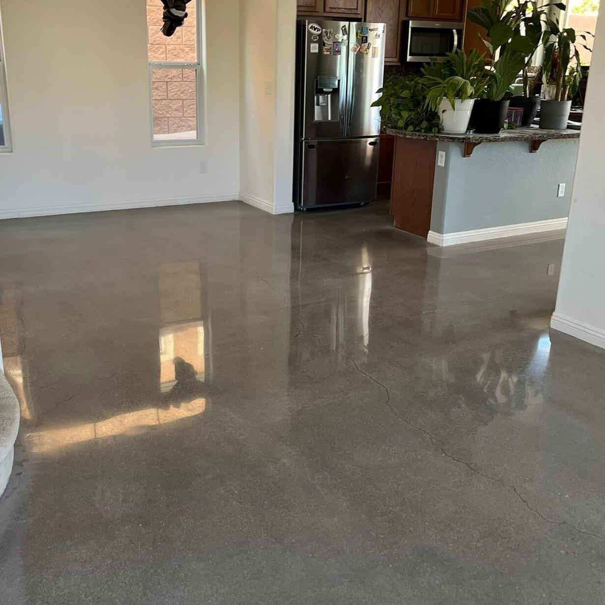 proshineconcreterestoration