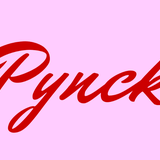 pynckfashion