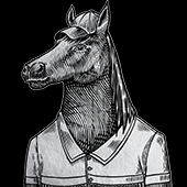theknightofnottinghill
