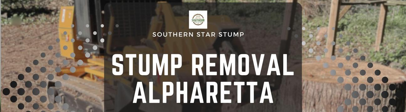 southernstarstump