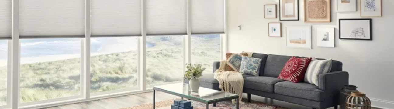bumblebeeblinds