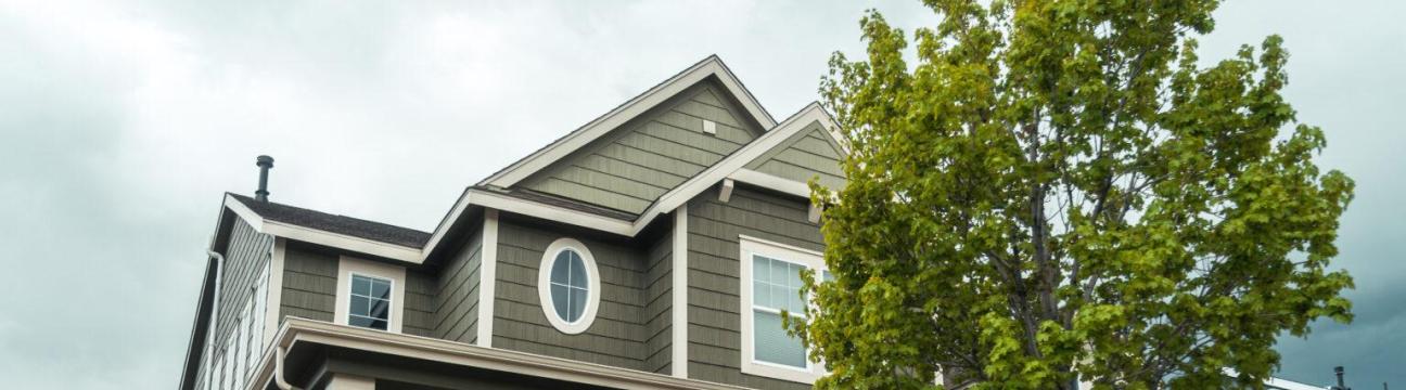 elkhornpaintings