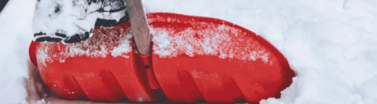 Snowshovelers