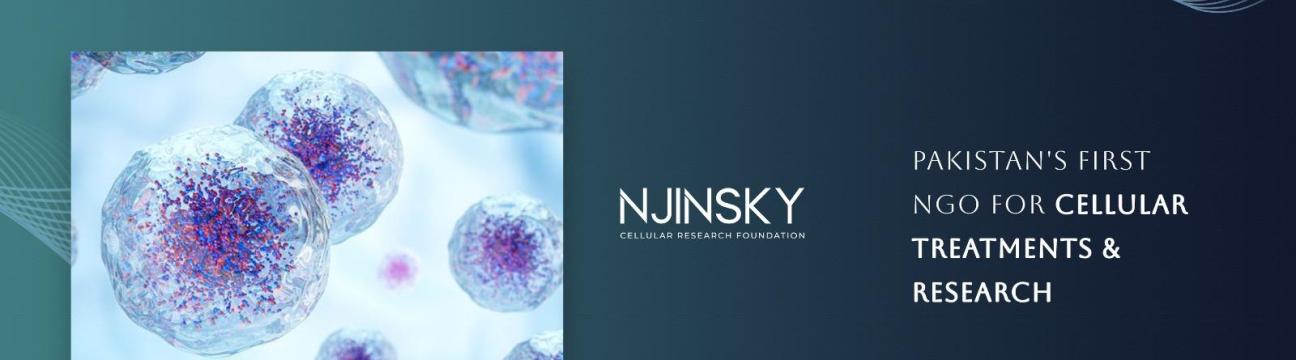 njinskyfoundation