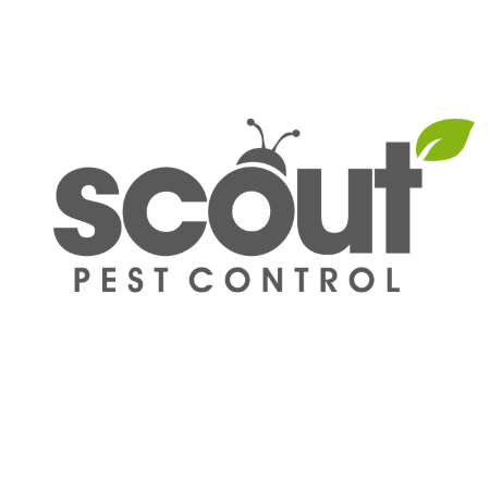 scoutpestcontrols