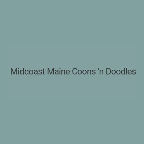 coonsanddoodlesmaine