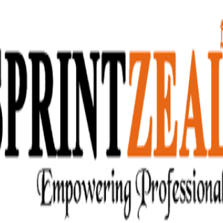 sprintzeal01