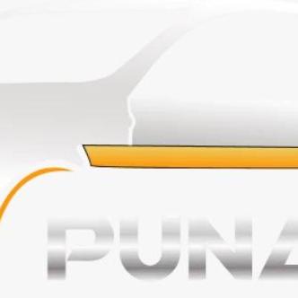 PunamCab